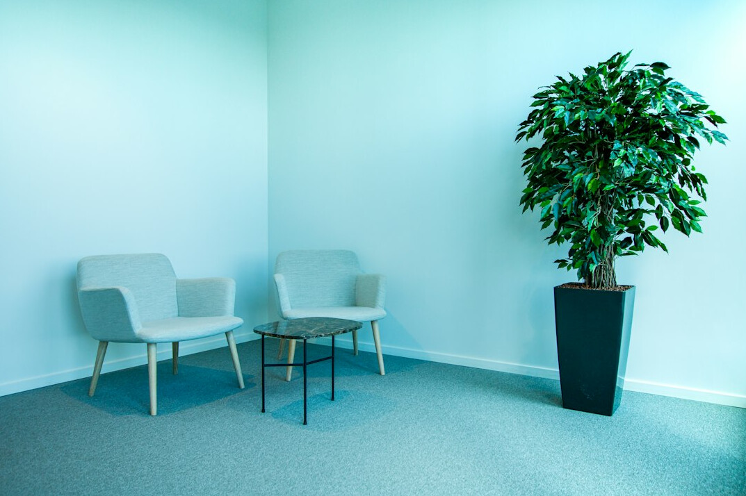 green office with plants