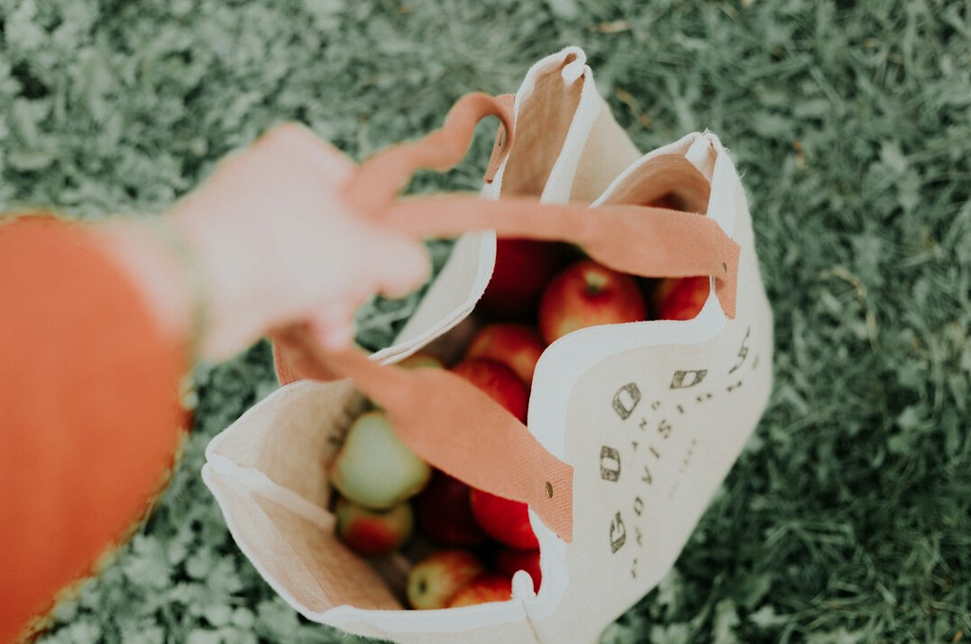 daily eco habits