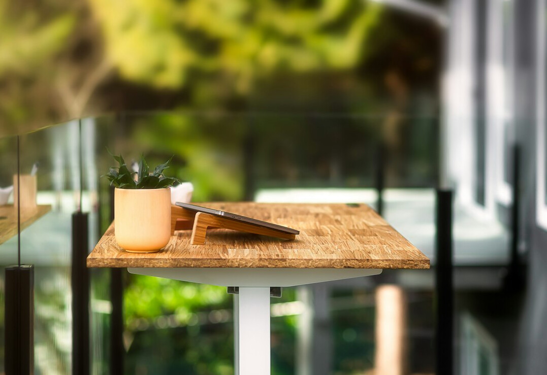 eco office workspace