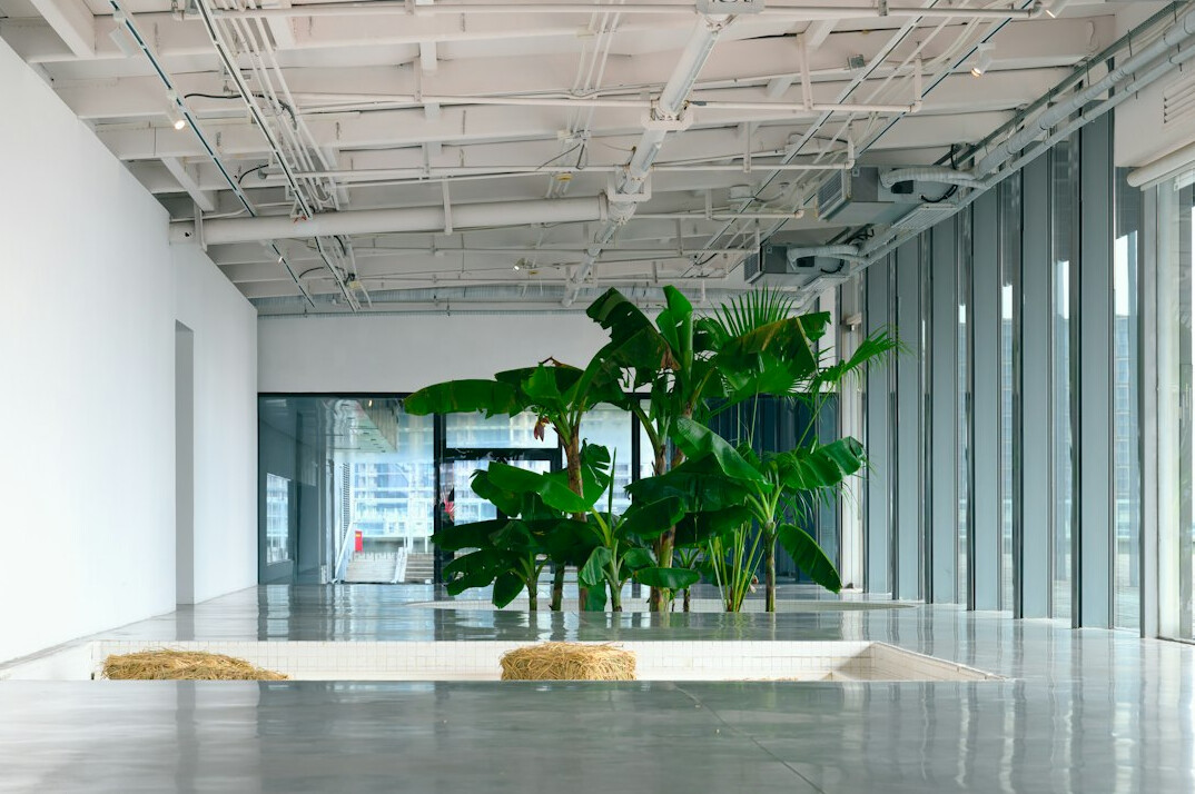 green office with plants